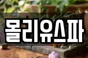 몰리유스파