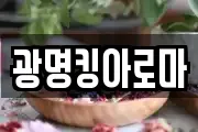 광명킹아로마