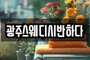 광주스웨디시반하다