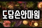 도담손안마원