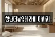 첨단더블유테라피 마사지