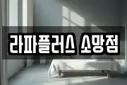 라파플러스 소망점