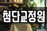 첨단교정원