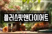 플러스핏앤다이어트