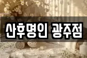 광주 광산구 월전동 마사지, 지압등 업체정보