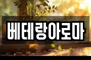 베테랑아로마