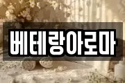 베테랑아로마