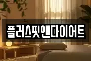 플러스핏앤다이어트