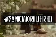 광주스웨디시아레나테라피