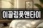 이끌림풋앤타이