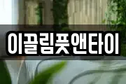 이끌림풋앤타이