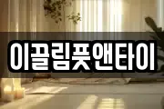 이끌림풋앤타이