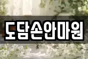 도담손안마원