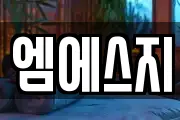 엠에스지