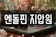 엔돌핀 지압원