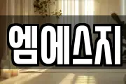 엠에스지