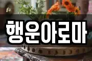 행운아로마