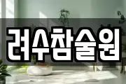 려수참술원