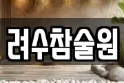 려수참술원