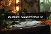 광주출장컴퓨터수리노트북수리아이폰스마트폰아이패드수리
