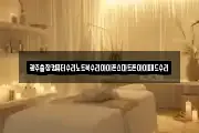 광주출장컴퓨터수리노트북수리아이폰스마트폰아이패드수리