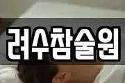 려수참술원