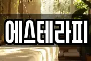 에스테라피