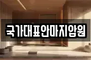 국가대표안마지압원