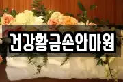 건강황금손안마원
