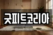 굿피트코리아