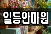 광주 북구 본촌동 마사지, 지압등 업체정보