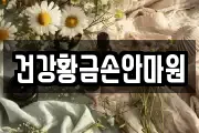 건강황금손안마원