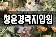 청운경락지압원