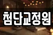 첨단교정원