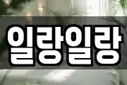 일랑일랑