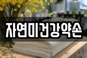 자연미건강약손