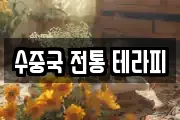 수중국 전통 테라피