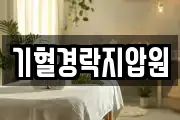 기혈경락지압원
