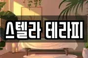 스텔라 테라피