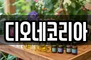 광주 북구 월출동 마사지, 지압등 업체정보