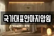 국가대표안마지압원