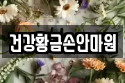 건강황금손안마원