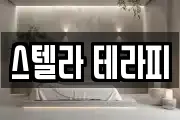 스텔라 테라피