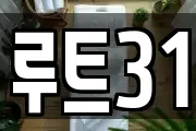 루트31