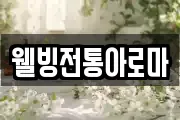 웰빙전통아로마