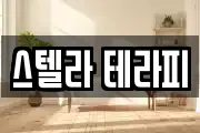 스텔라 테라피