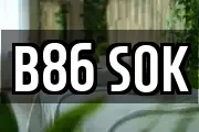 B86 SOK