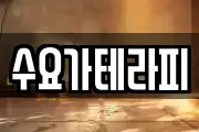 수요가테라피