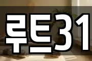 루트31