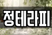 정테라피